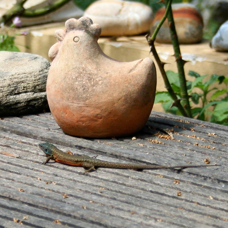 stone buddha statue